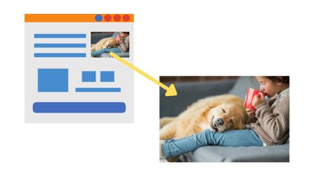 A child drinks beside a sleeping dog, with the image displayed in an enlarged preview from a web page.