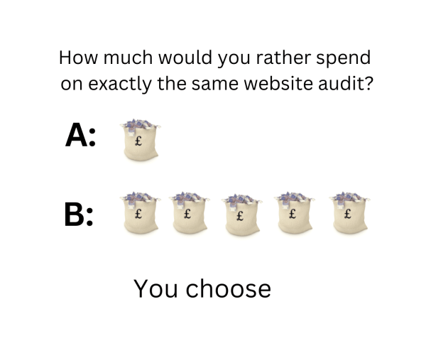 Graphic shows two website audit options: A with one money bag, B with five money bags, and the words You choose.