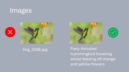 Side-by-side images of a hummingbird: the left image is unlabelled, and the right shows the bird feeding from orange and yellow flowers.