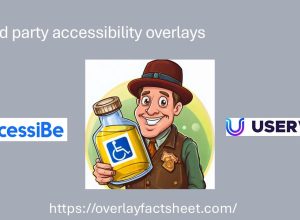 A cartoon man holds a bottle featuring a wheelchair icon, alongside accessiBe and UserWay logos and the overlayfactsheet.com URL.