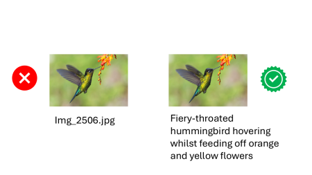 A hummingbird is shown with two labels, one displaying a file name and the other describing the bird feeding on orange and yellow flowers.
