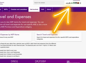 A website page displays travel and expenses information, featuring a large yellow arrow pointing towards accessibility tools.