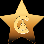 Chi-2024-Biz-awards-finalists-logo