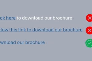 Three download links, two with red Xs beside them, and one with a green checkmark.