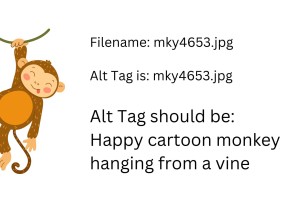 A happy cartoon monkey is hanging from a vine. The text reads: Filename: mky4653.jpg