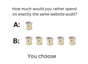 How much would you rather spend on exactly the same audit? Option A is next to a bag of money. Option B is next to 5 bags of money. You choose