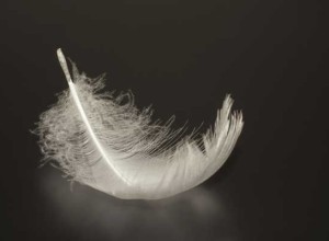 A single white feather with soft, delicate strands rests gently on a dark, reflective surface. The feather appears lightweight and fragile, with intricate details visible on its wispy barbs and fine structure.