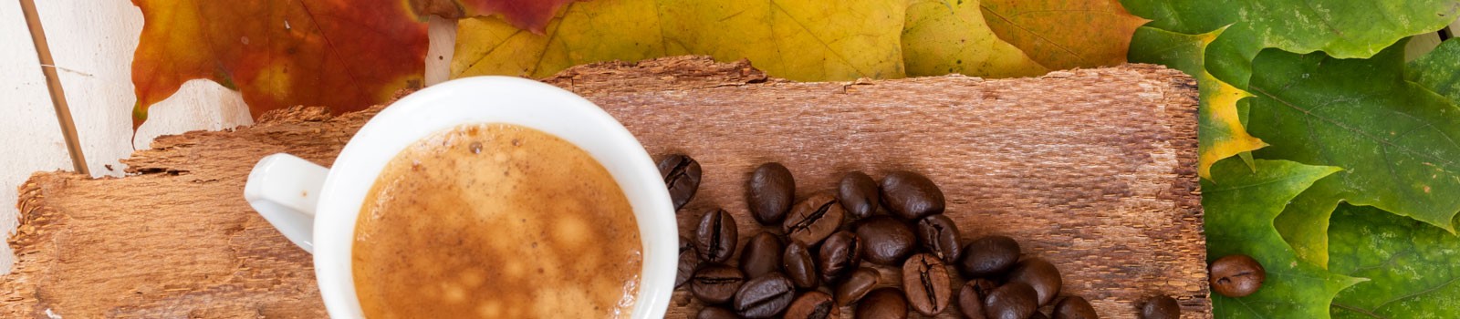 A cup of coffee on a log with coffee beans spread out