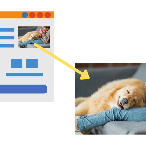 A web page containing an image of a young girl drinking from a mug. A beautiful dog is peacefully asleep on her lap. An arrow is pointing to a larger version of the same image.