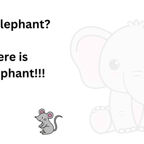 A happy cartoon mouse. Behind him is a cartoon elephant that is so faded so that it can hardly be seen. Text reads What elephant? There is no elephant!!