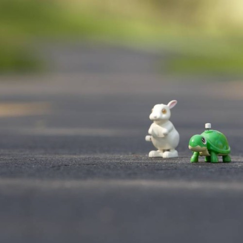 Clockwork tortoise and clockwork hare on a road