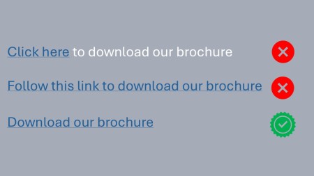 Three download links, two with red Xs beside them, and one with a green checkmark.