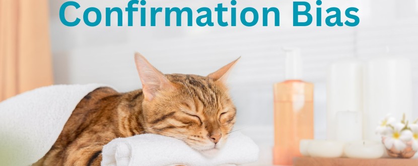 A cat is relaxing in a treatment room in a spa. Its head is reasting on a rolled up flannel and it has a towel covered its body. It looks calm and peaceful. The words Confirmation Bias are above it.