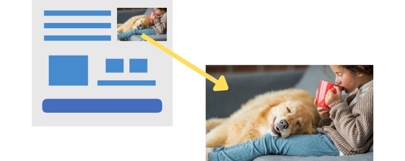 A web page containing an image of a young girl drinking from a mug. A beautiful dog is peacefully asleep on her lap. An arrow is pointing to a larger version of the same image.