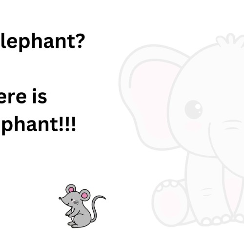 A happy cartoon mouse. Behind him is a cartoon elephant that is so faded so that it can hardly be seen. Text reads “What elephant? There is no elephant!!”