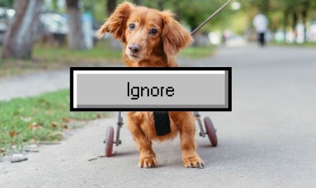 A dog with its hind legs in a splint with wheels, with a large button in front with the word Ignore written on it
