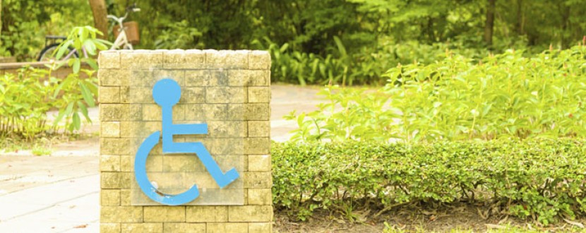 Wheelchair sign against green nature background