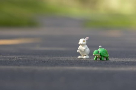 Clockwork tortoise and clockwork hare on a road
