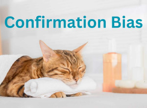 A cat is relaxing in a treatment room in a spa. Its head is reasting on a rolled up flannel and it has a towel covered its body. It looks calm and peaceful. The words Confirmation Bias are above it.